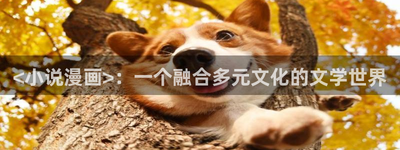 韩漫在线观看的：<小说漫画>：一个融合多元文化的文学世界