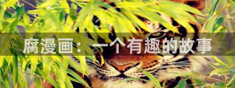 韩漫漫画视频：腐漫画：一个有趣的故事