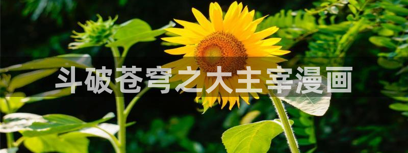 韩漫成人免费网站