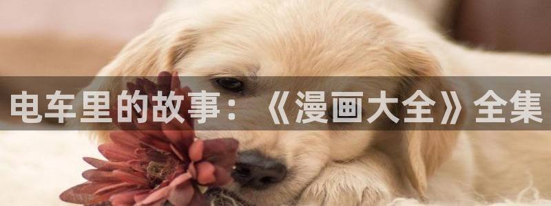 看韩漫的漫画app