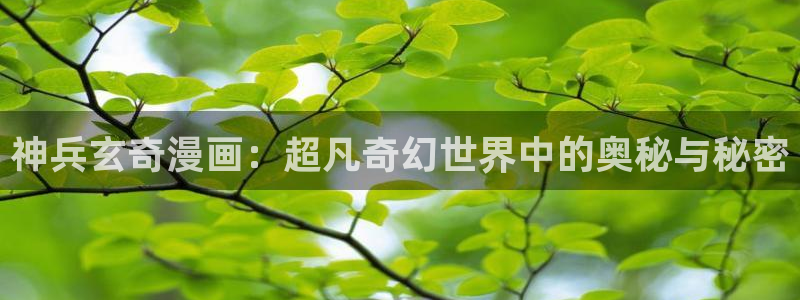 韩漫漫画大全在线观看：神兵玄奇漫画：超凡奇幻世界中的奥秘与秘密