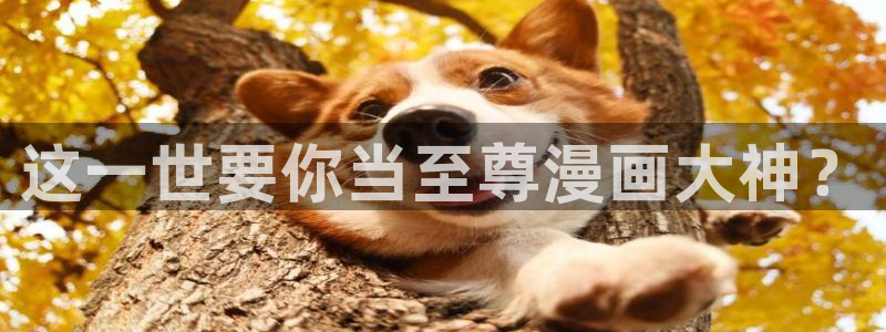 韩漫无删减漫画网站：这一世要你当至尊漫画大神？