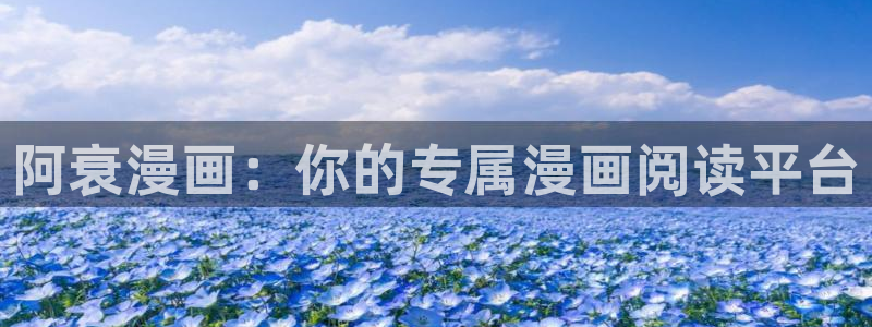 哪里有看韩漫的网站：阿衰漫画：你的专属漫画阅读平台