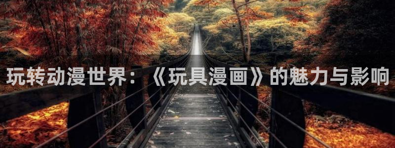 能看韩漫网站：玩转动漫世界：《玩具漫画》的魅力与影响