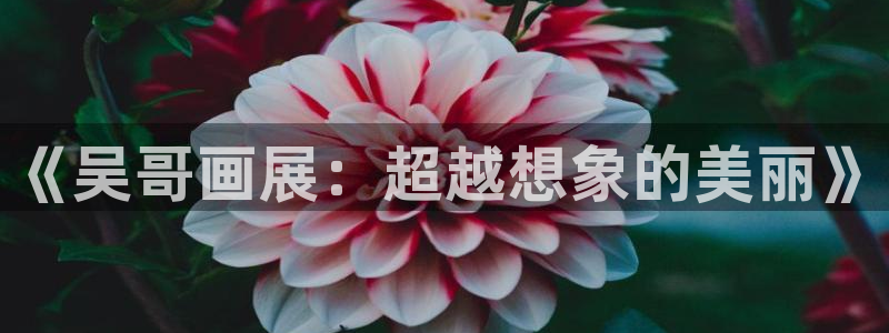 日韩漫画软件：《吴哥画展：超越想象的美丽》