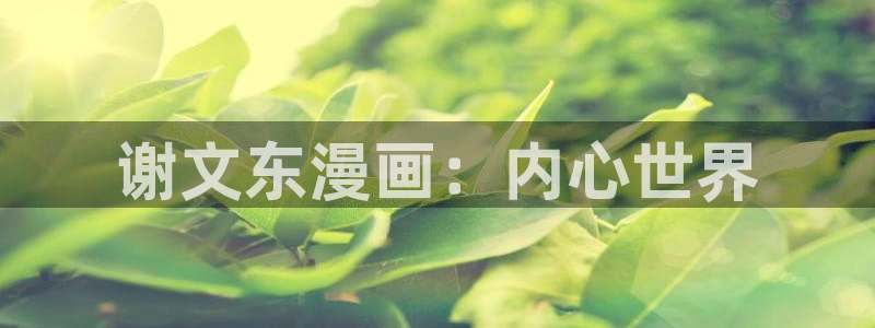 哈哈漫画网韩漫免费：谢文东漫画：内心世界