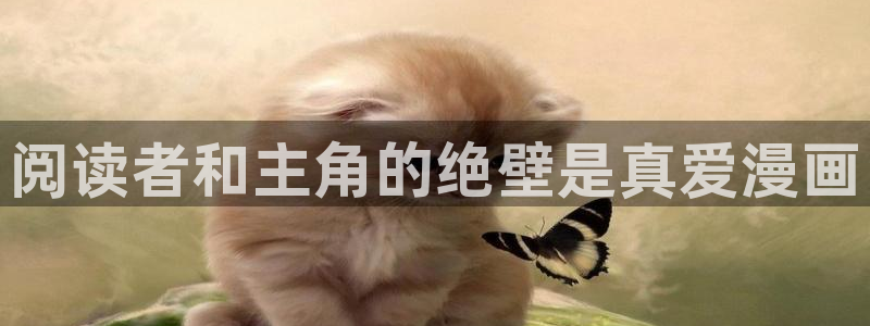 哪个网站可以看韩漫：阅读者和主角的绝壁是真爱漫画