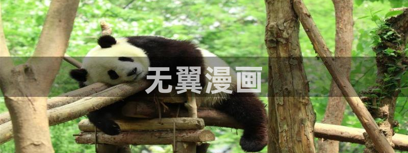 免费韩漫在线漫画入口：无翼漫画