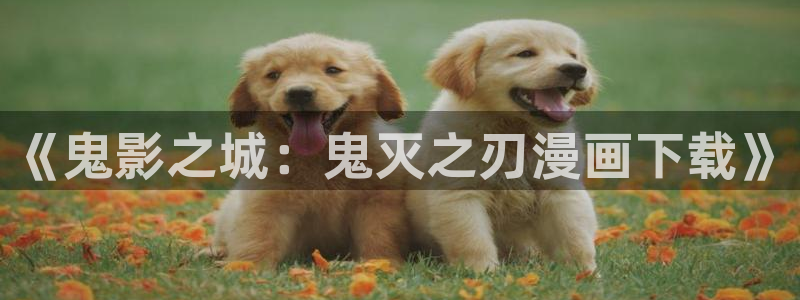 韩漫网站成人www：《鬼影之城：鬼灭之刃漫画下载》