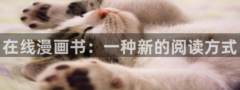 哪里可以看韩漫?：在线漫画书：一种新的阅读方式