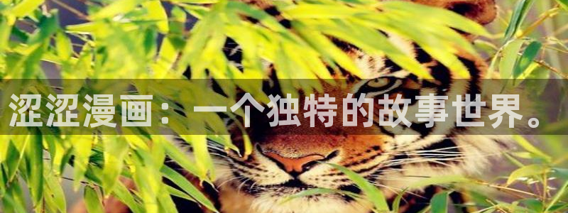 韩漫网站魔咒