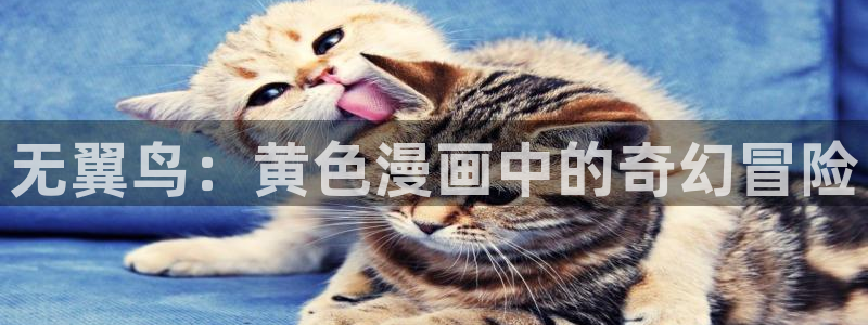 韩漫画免费阅读版