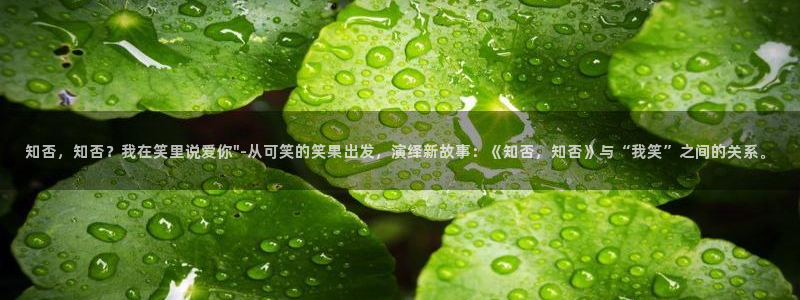 无删减韩漫在线免费看